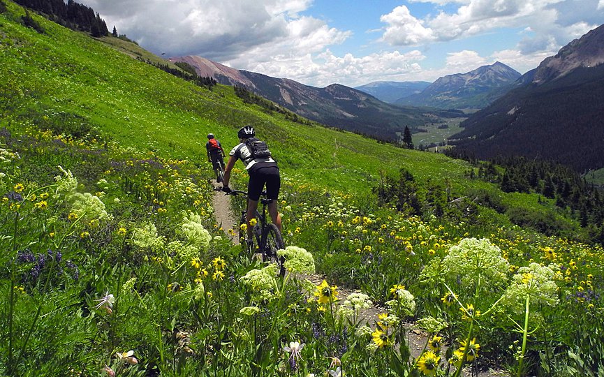 In this July 14, 2013 photo, Shane McDermed, left, of Boulder and Lindsey Samelson of Colorado Springs, ride though the wildflowers on the 401 Trail outside of Crested Butte, Colo. (Christian Murdock/The Gazette via AP)